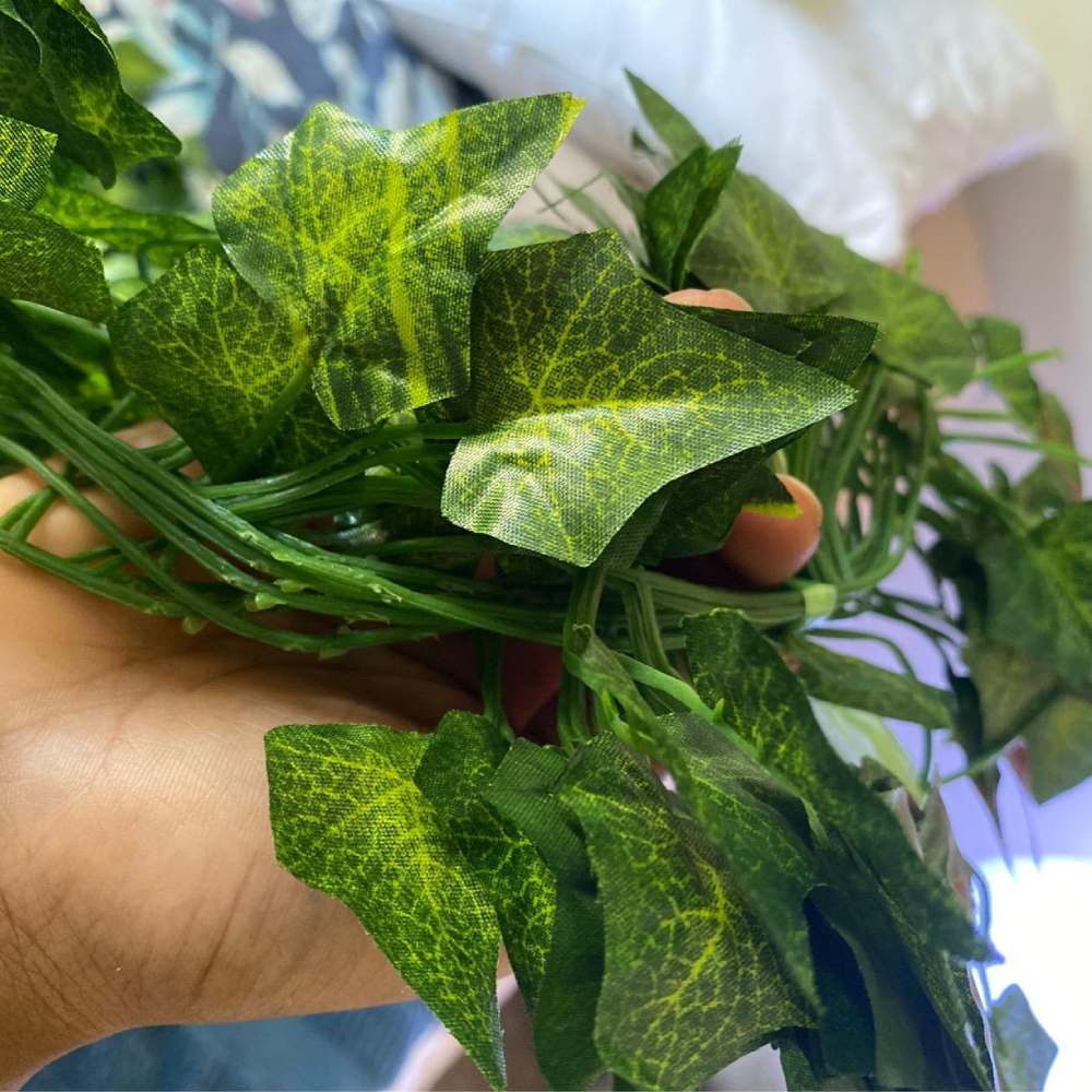 Artificial Ivy