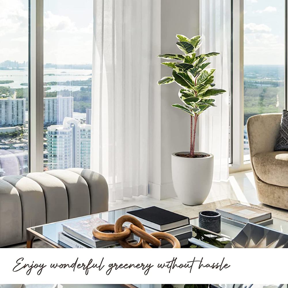 Artificial Rubber Tree Plant