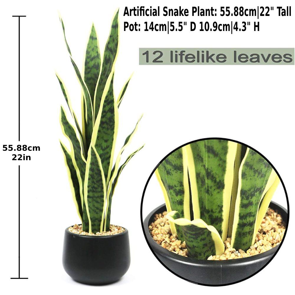 Artificial Snake Plant: image 5