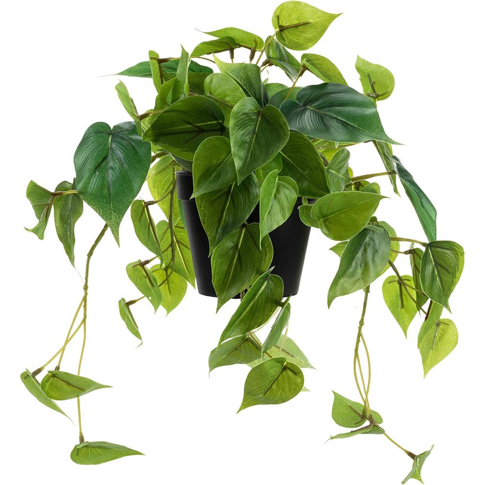 Artificial Lucky Greenery: image 7