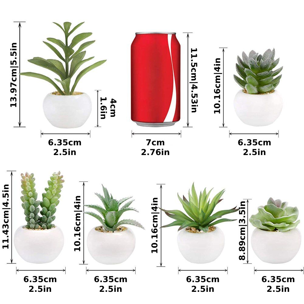 Artificial Succulent Plants: image 6